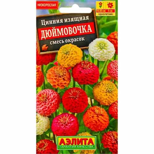 Цинния изящная Дюймовочка, смесь окрасок Аэлита артикул фото 1 Цинния изящная Дюймовочка, смесь окрасок Аэлита изображение 1 артикул 99192