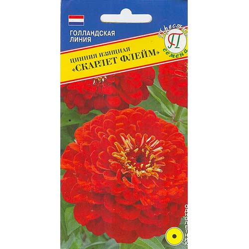 Цинния Скарлет флейм Престиж изображение 1 артикул 81409