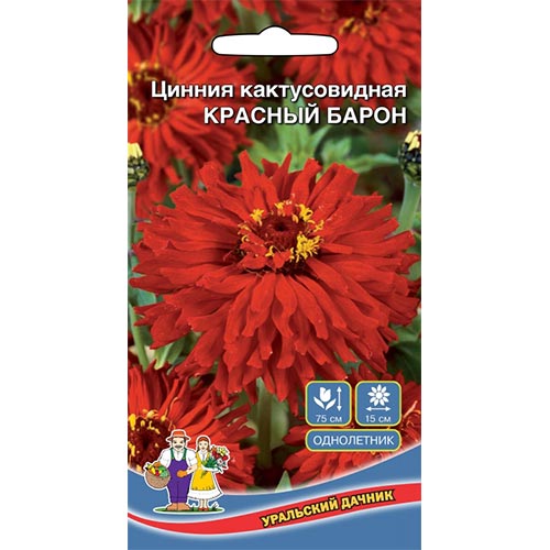 Цинния Красный барон, семена артикул фото 1 Цинния Красный барон, семена изображение 1 артикул 94854