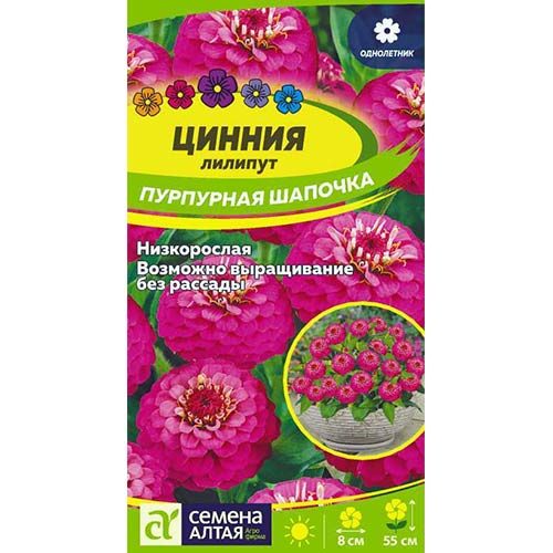 Цинния лилипут Пурпурная шапочка Семена Алтая изображение 1 артикул 81823