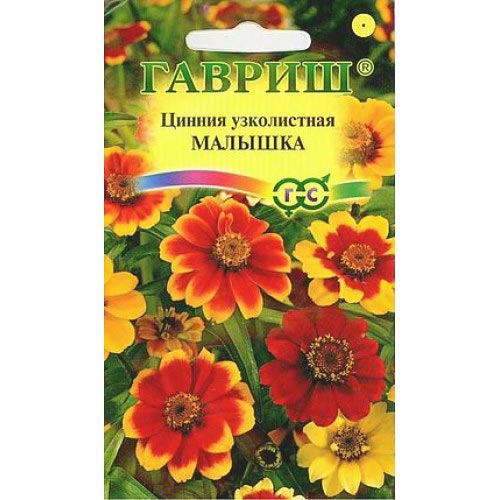 Цинния Малышка, смесь окрасок изображение 1 артикул 94873