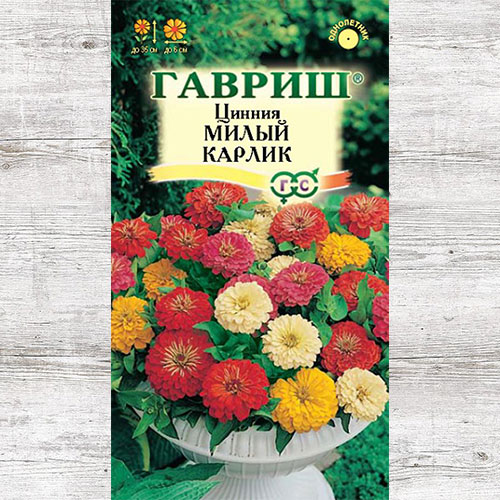 Цинния Милый карлик, смесь окрасок Гавриш изображение 1 артикул 71274