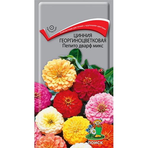 Цинния Пепито Дварф, смесь окрасок изображение 1 артикул 93160
