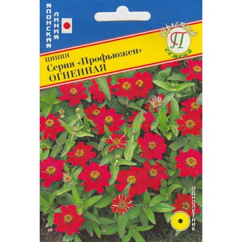 Цинния Профьюжен Огненная Престиж артикул фото 1 Цинния Профьюжен Огненная Престиж изображение 1 артикул 81411