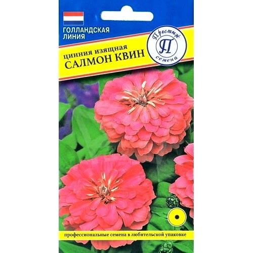 Цинния Салмон Квин Престиж изображение 1 артикул 84571