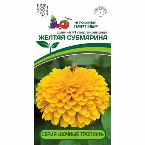 Цинния георгиновидная Сочные тропики Желтая Субмарина F1 Партнер изображение 1 артикул 92705