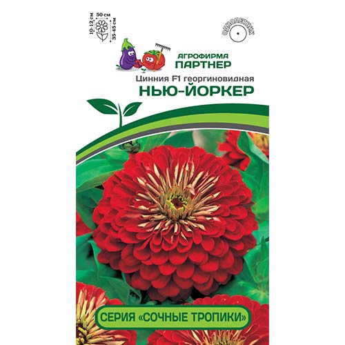 Цинния Сочные тропики Нью-Йоркер F1 Партнер изображение 1 артикул 84827