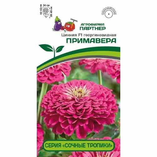 Цинния георгиновидная Сочные тропики Примавера F1 Партнер изображение 1 артикул 92706