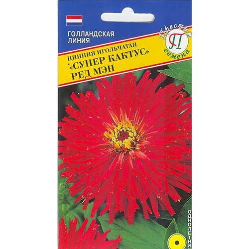 Цинния Супер Кактус Ред Мэн Престиж изображение 1 артикул 81416