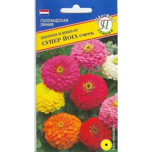 Цинния Супер Йога, смесь окрасок Престиж изображение 1 артикул 81413