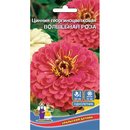 Цинния Волшебная роза, смесь окрасок изображение 1 артикул 94851
