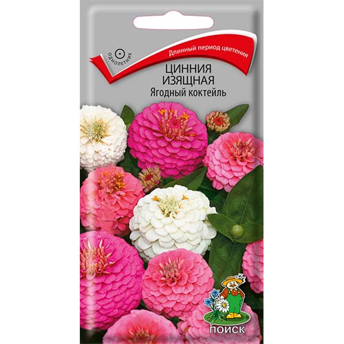 Цинния Ягодный коктейль, смесь окрасок изображение 1 артикул 93166