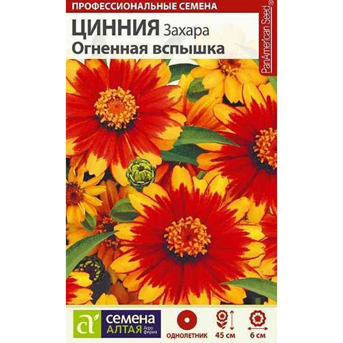 Цинния Захара Огненная вспышка Семена Алтая изображение 1 артикул 78269