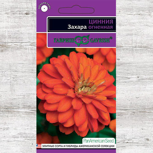 Цинния Захара огненная Гавриш изображение 1 артикул 73932