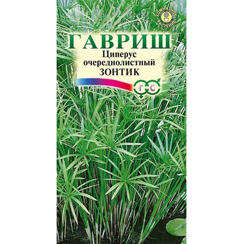 Циперус Зонтик, семена изображение 1 артикул 92276