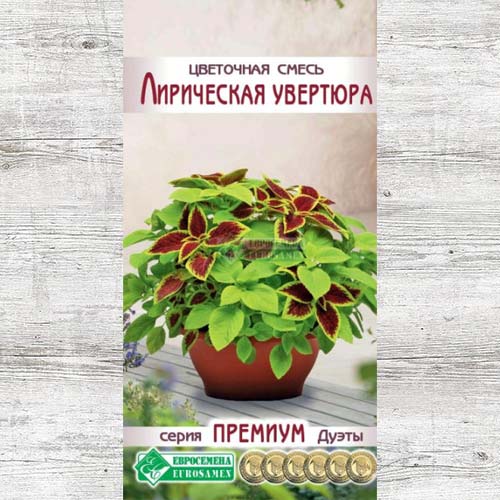 Цветочная смесь Лирическая увертюра, смесь окрасок изображение 1 артикул 83426