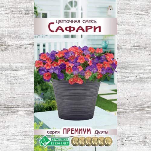 Цветочная смесь Сафари, смесь окрасок изображение 1 артикул 83428