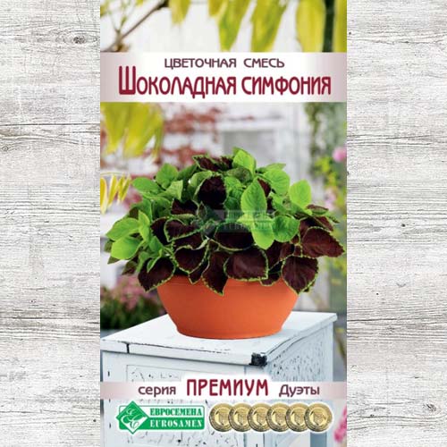 Цветочная смесь Шоколадная симфония, смесь окрасок изображение 1 артикул 83434