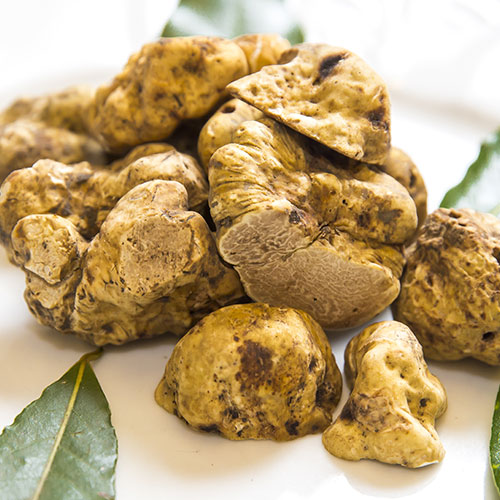 Трюфель белый изображение 1 артикул 9774