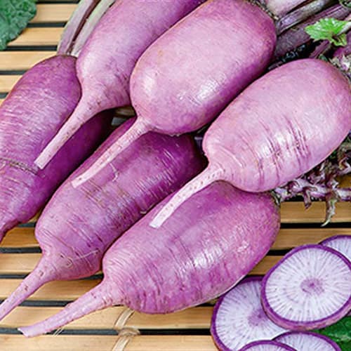 Дайкон Голубая свеча F1 Аэлита изображение 1 артикул 98223