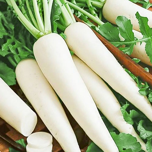 Дайкон Русский деликатес Уральский дачник изображение 1 артикул 78406
