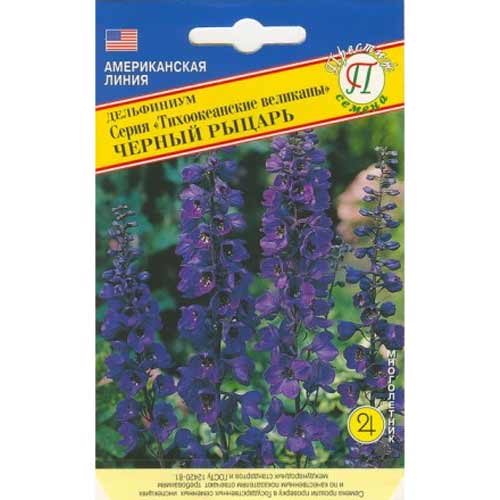 Дельфиниум тихоокенаские великаны Черный рыцарь Престиж изображение 1 артикул 65839
