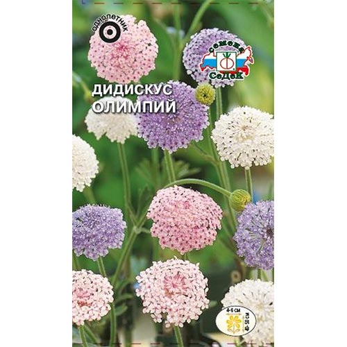 Дидискус Олимпий, смесь окрасок артикул фото 1 Дидискус Олимпий, смесь окрасок изображение 1 артикул 93776