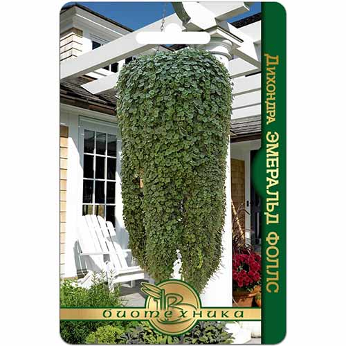 Дихондра Эмеральд Фоллс Биотехника изображение 1 артикул 74085