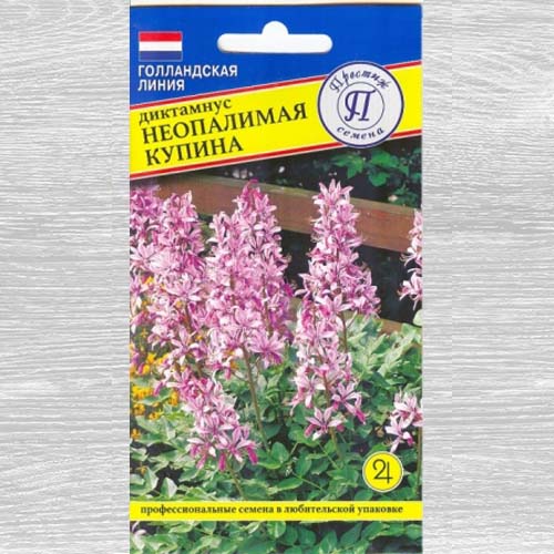 Диктамнус Неопалимая Купина изображение 1 артикул 73648