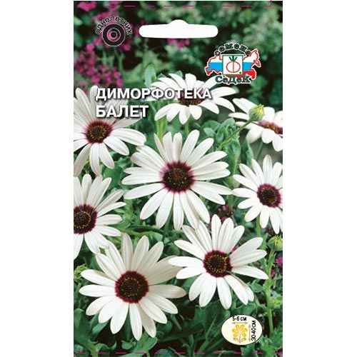 Диморфотека Балет, семена изображение 1 артикул 93777