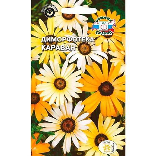 Диморфотека Караван, смесь окрасок изображение 1 артикул 93778