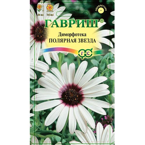 Диморфотека Полярная звезда, семена изображение 1 артикул 92046