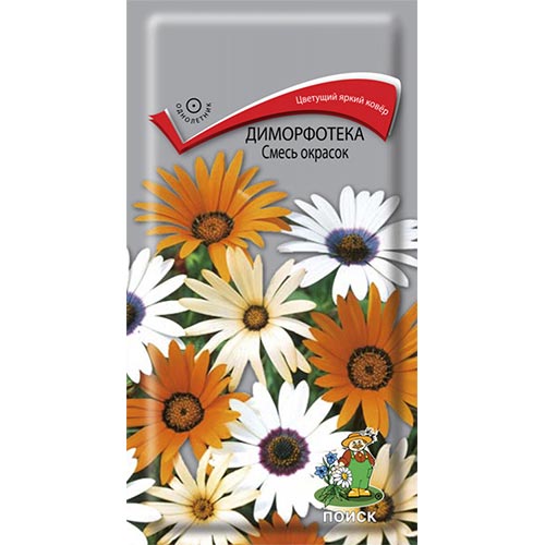 Диморфотека, смесь окрасок изображение 1 артикул 92977
