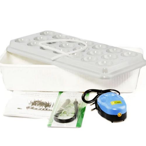 Домашняя установка: «Луковое счастье» изображение 4 артикул 85214