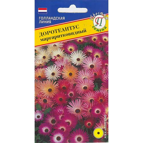Доротеантус маргаритковый, смесь окрасок Престиж изображение 1 артикул 71445