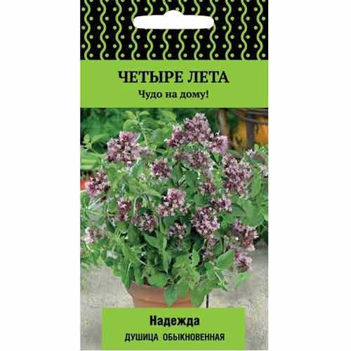 Душица обыкновенная Надежда Поиск изображение 1 артикул 65268