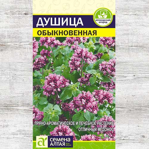 Душица обыкновенная изображение 1 артикул 81464