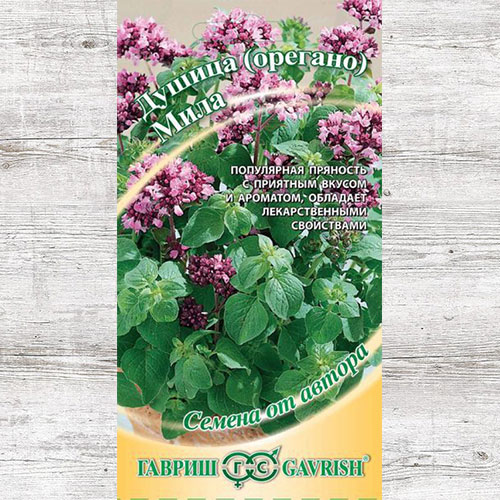 Душица (орегано) Мила Гавриш изображение 1 артикул 82155