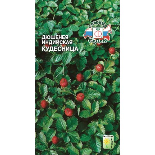 Дюшенея индийская Кудесница, семена изображение 1 артикул 93783