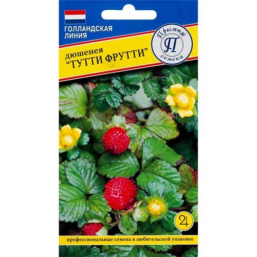 Дюшенея индийская Тутти Фрутти Престиж изображение 1 артикул 65842