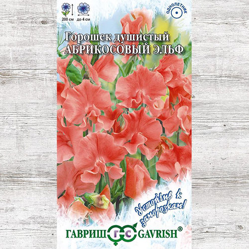 Горошек душистый Абрикосовый эльф Гавриш изображение 1 артикул 73839