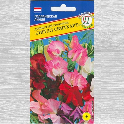 Душистый горошек Литлл Свитхарт, смесь окрасок изображение 1 артикул 73651