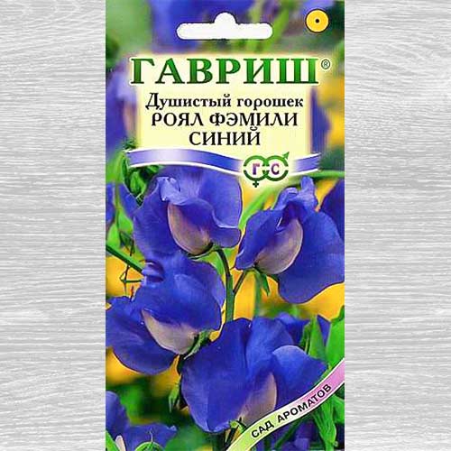 Душистый горошок Роял Фэмили синий изображение 1 артикул 82375