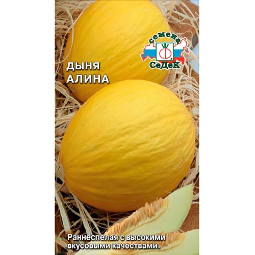 Дыня Алина, семена изображение 1 артикул 93312