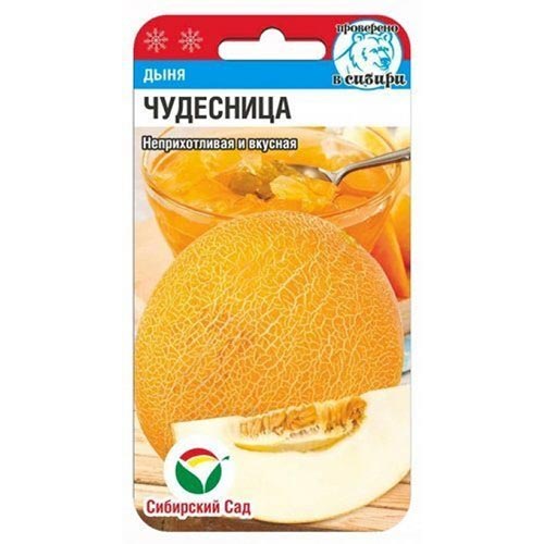 Дыня Чудесница, семена изображение 1 артикул 94334