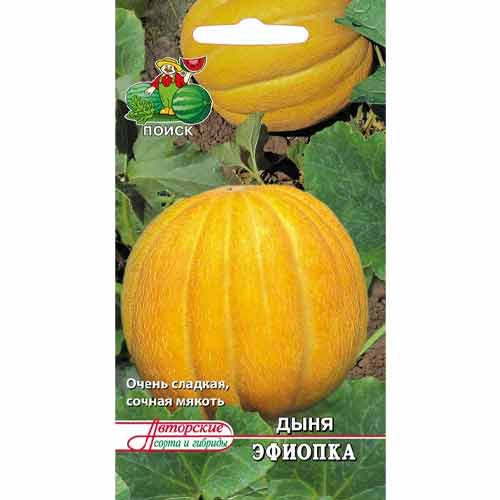 Дыня Эфиопка Поиск изображение 1 артикул 81467