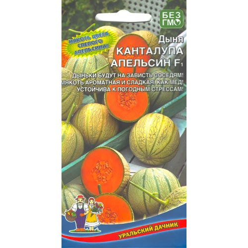 Дыня Канталупа апельсин F1, семена изображение 1 артикул 94496