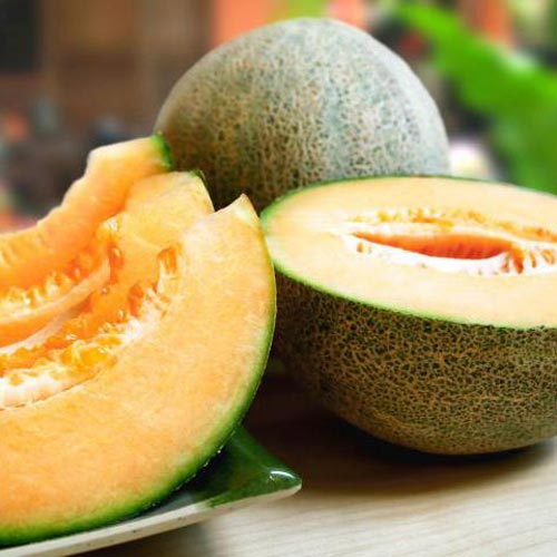 Дыня Каротель F1, семена изображение 1 артикул 65007