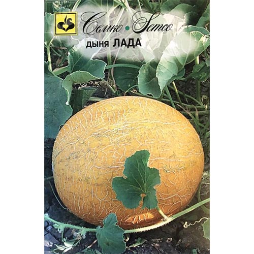 Дыня Лада, семена изображение 1 артикул 94234