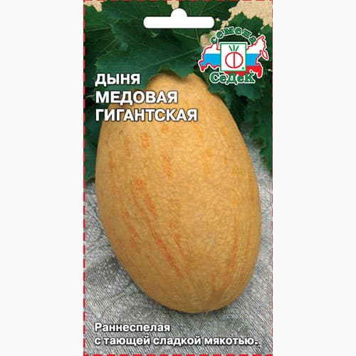 Дыня Медовая гигантская Седек изображение 1 артикул 98018